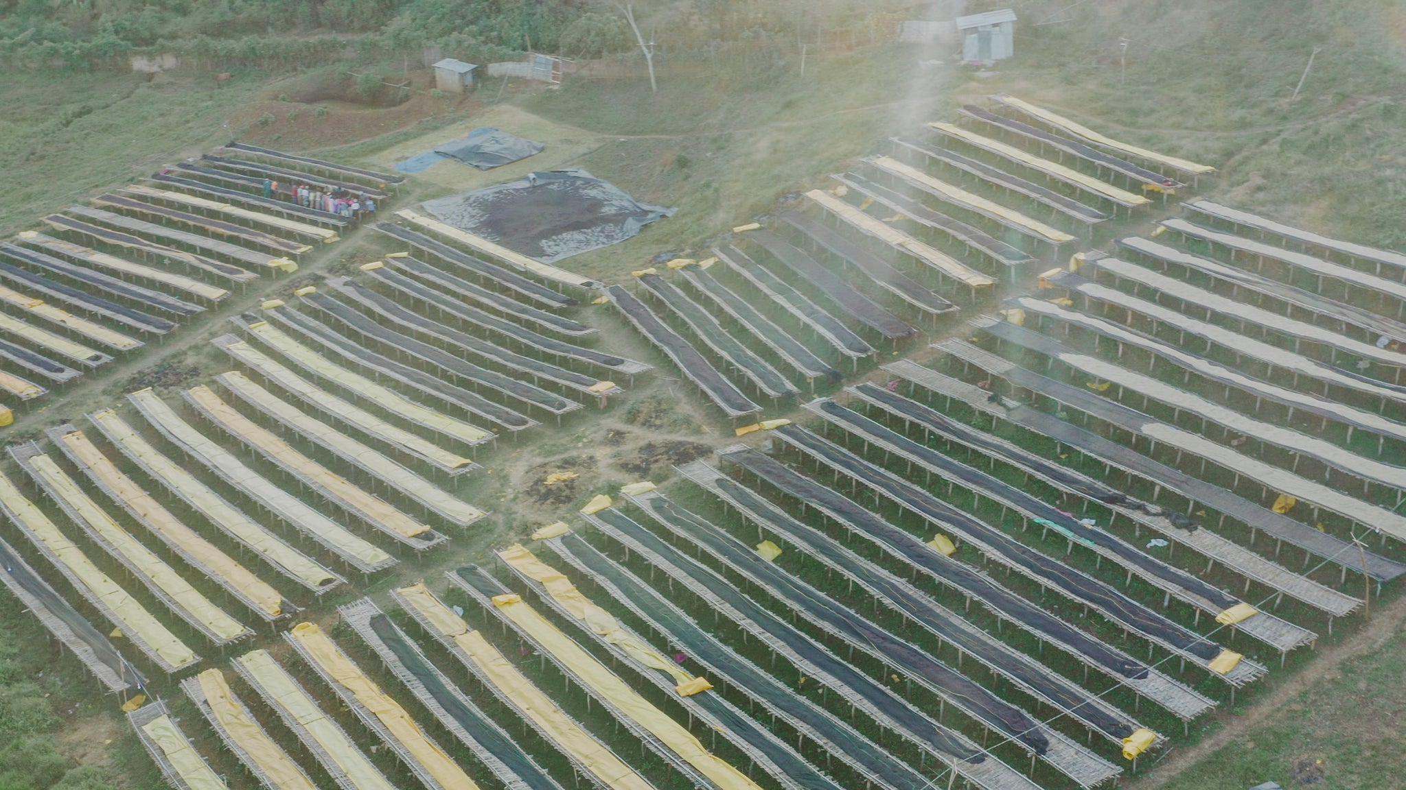 Ethiopia Uraga Goro Muda